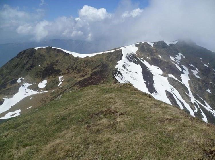 Maison De Village Au Pied Des Pyrenees Marignac  المظهر الخارجي الصورة